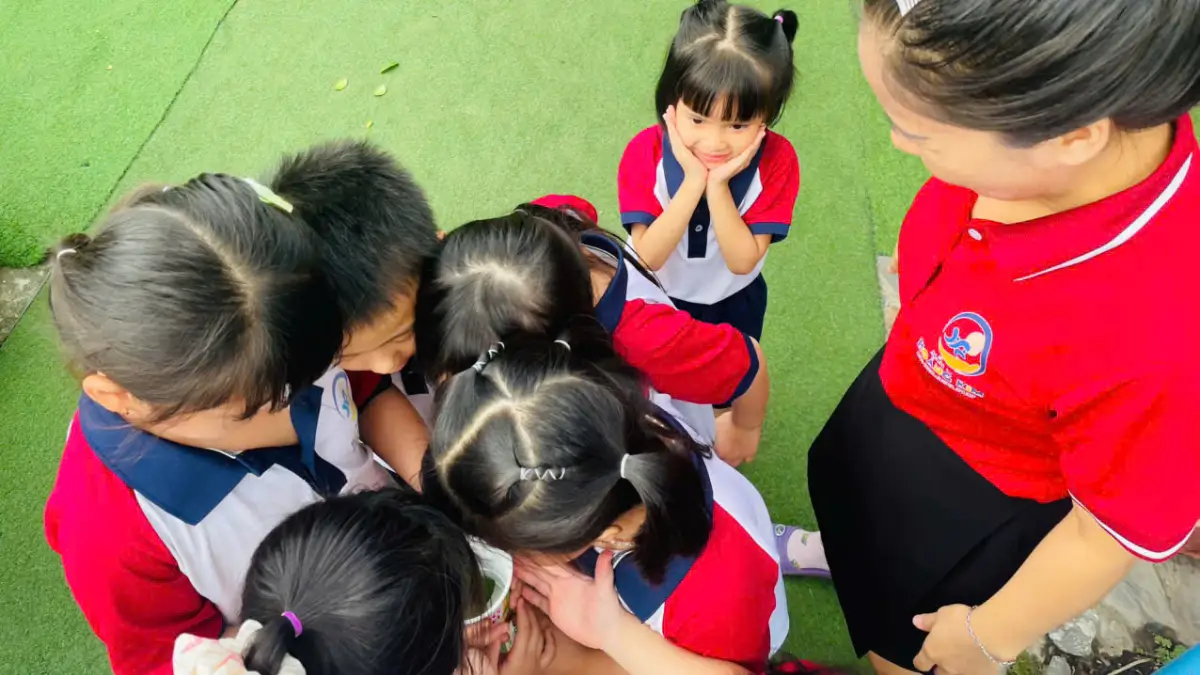 Khám phá sâu bướm trong vườn trường Mầm non Hoàng Kim