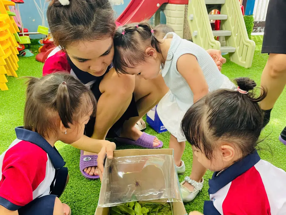 Khám phá thế giới Côn trùng quanh bé