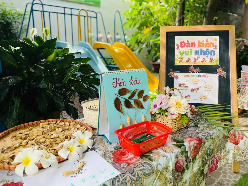 Bảng trực quan giới thiệu vòng đời của kiến