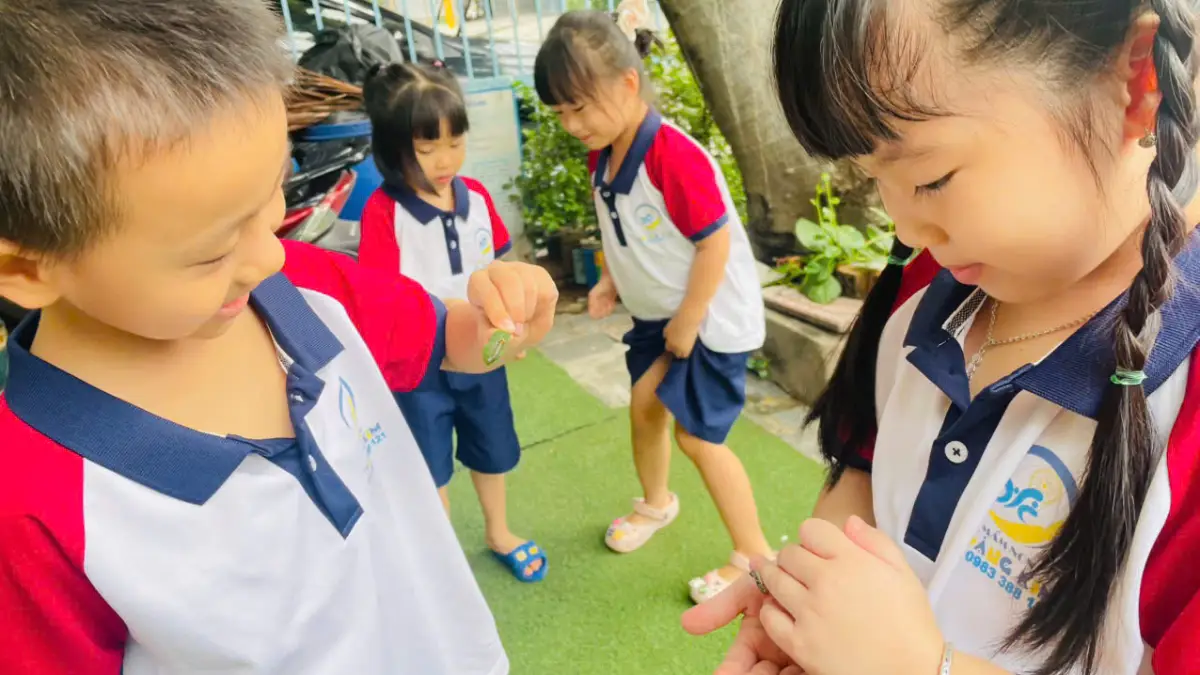 Các bé Mầm non Hoàng Kim cùng quan sát sâu bướm trong vườn trường