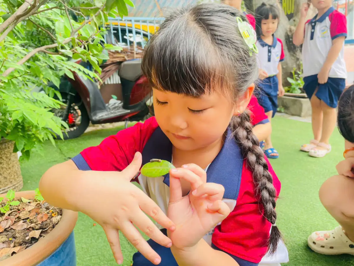 Bé quan sát cây xanh để tìm hiểu nơi sâu bướm sinh sống