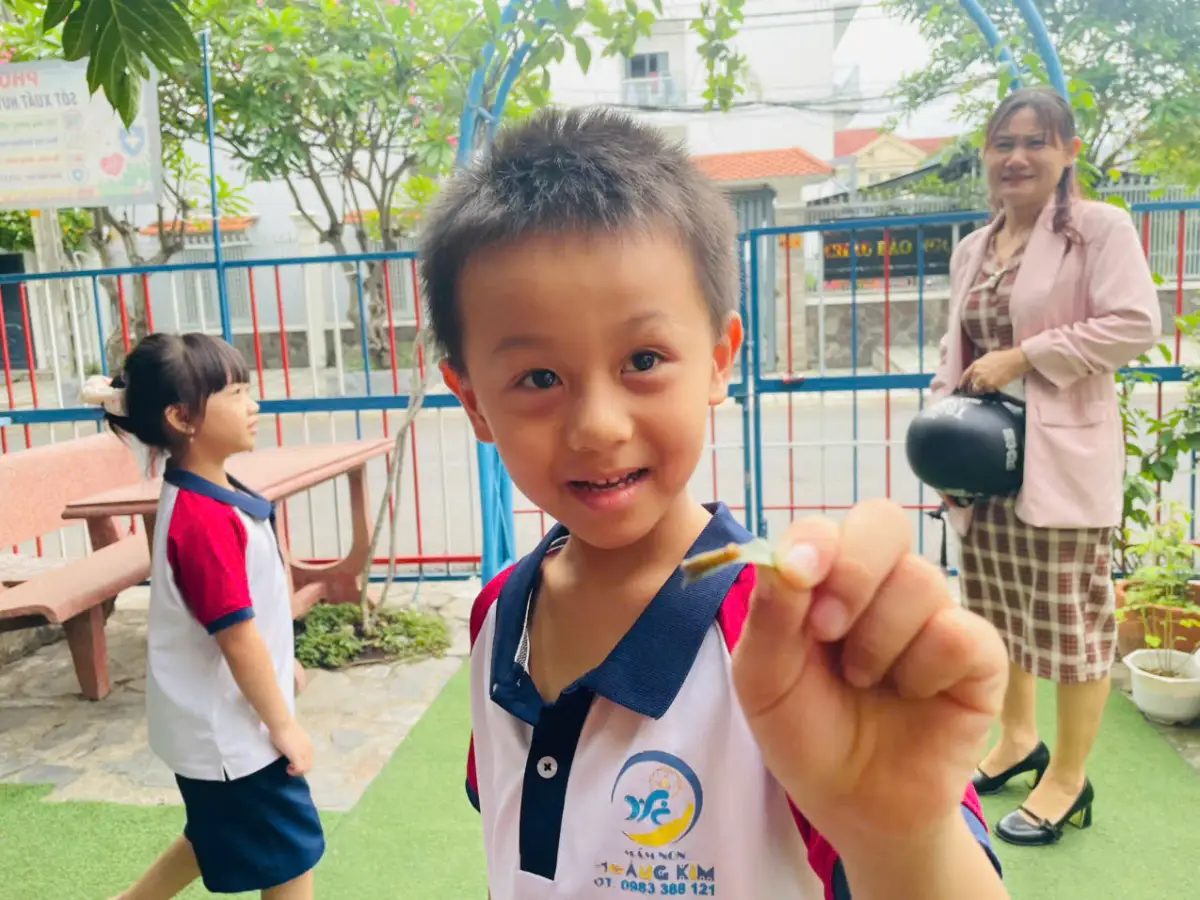 Các bé vui vẻ khám phá thiên nhiên tại Mầm non Hoàng Kim